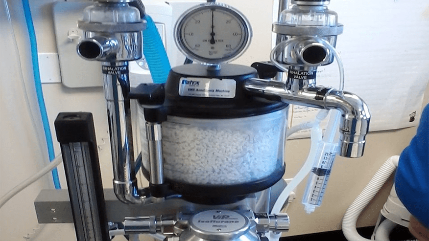 Sevoflurane Anesthesia at Lakes Region