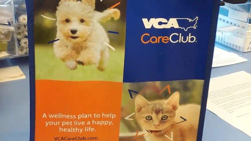 Advanced Care in Laconia, NH | VCA Lakes Region Veterinary ... — Cardiology clinic in Laconia, NH — photo 8