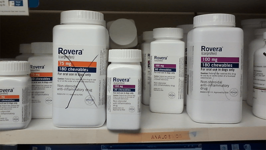 876x493 lakes region PainManagement