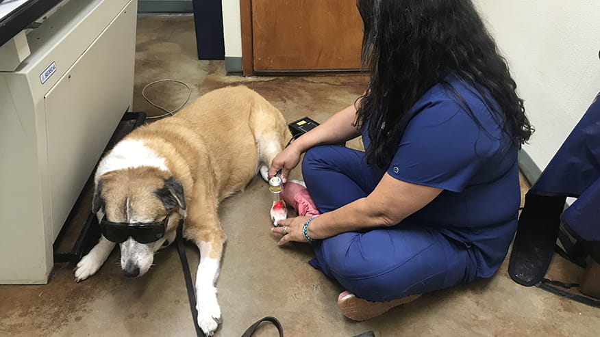 Cold Laser Therapy Lakeside TX