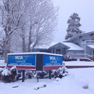 big bear animal hospital