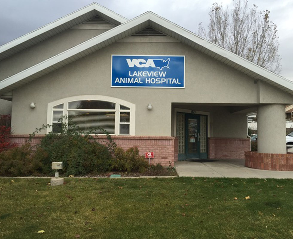 Hospital Picture of VCA Lakeview Animal Hospital