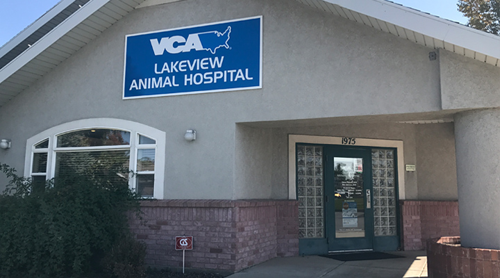Veterinarians in Bountiful, UT | VCA Lakeview Animal Hospital