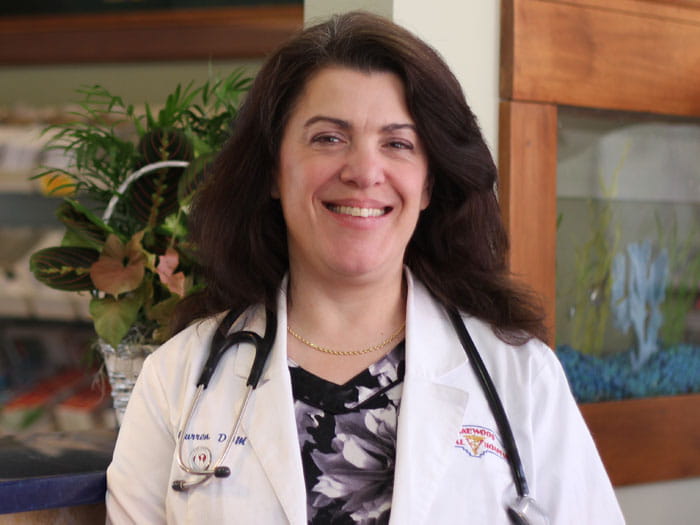 Constance Curren Vca Lakewood Animal Hospital