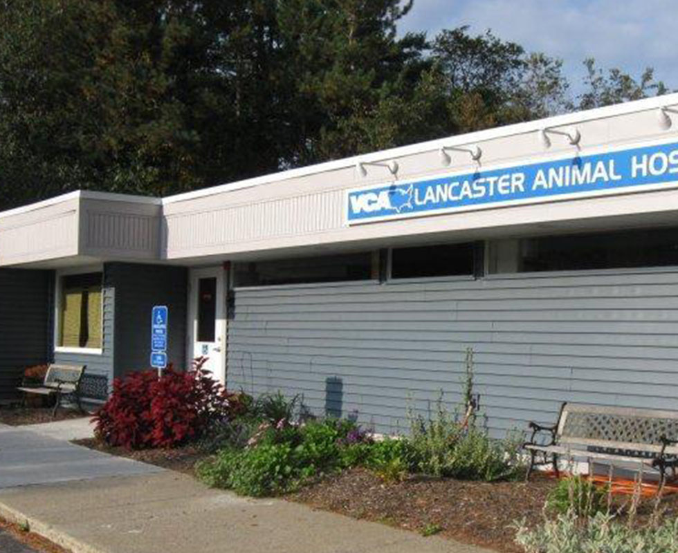 Hospital Picture of VCA Lancaster Animal Hospital