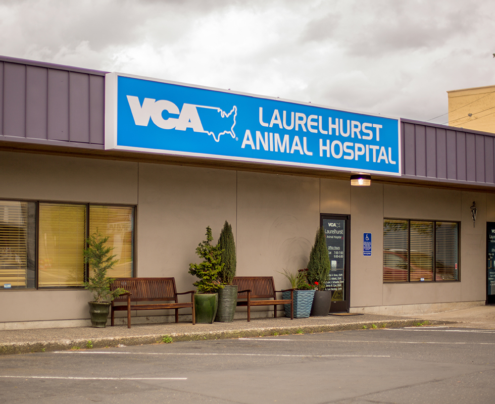 Hospital Picture of VCA Laurelhurst Animal Hospital