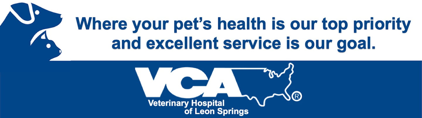 vca leon springs
