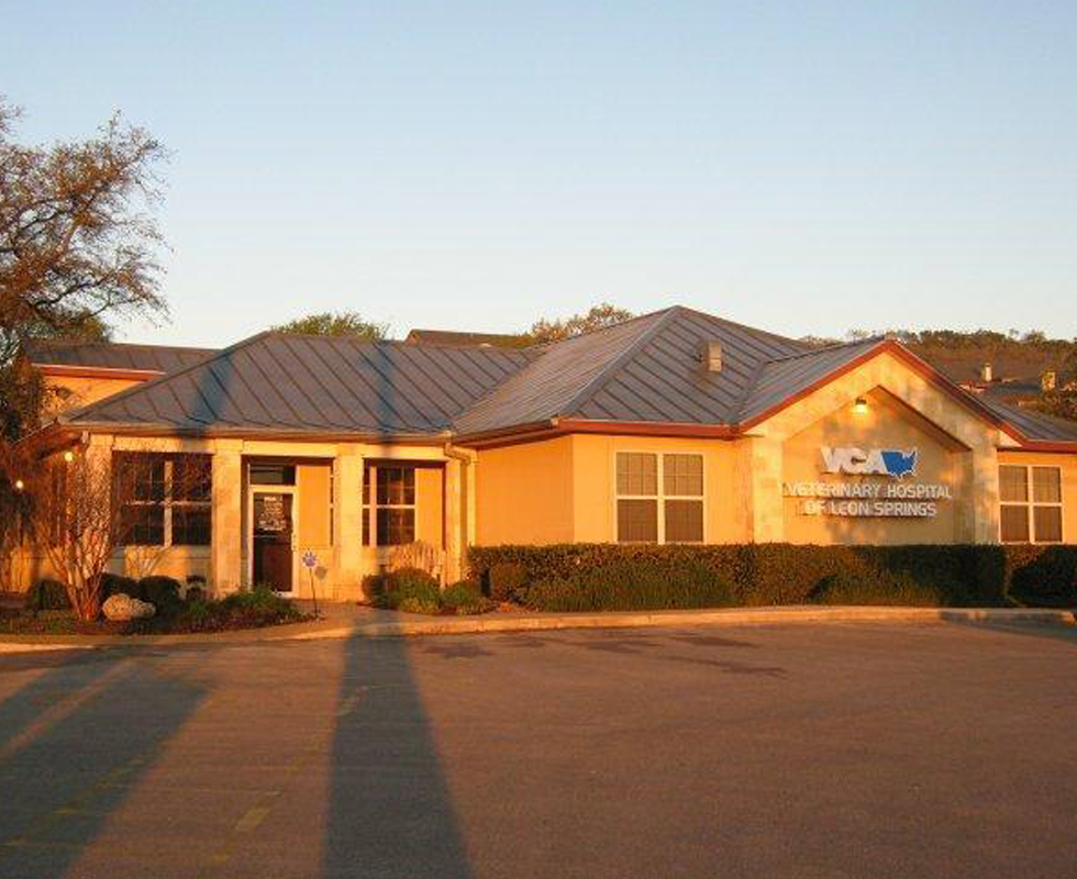 Hospital Picture of  VCA Veterinary Hospital of Leon Springs 