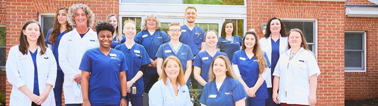 Team Picture of VCA Lewis Animal Hospital