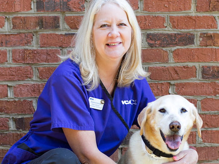 Debbie Conner Vca Lilburn Animal Hospital