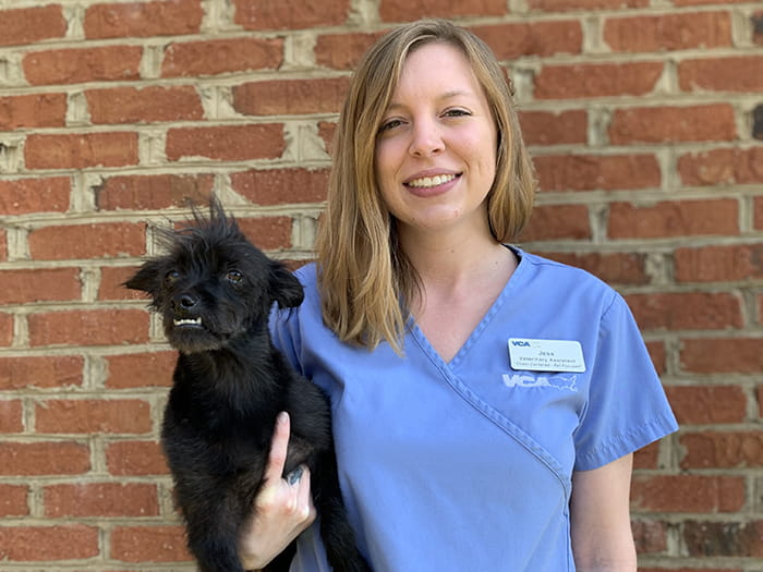 Jess Martin Vca Lilburn Animal Hospital