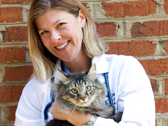 Lilburn Vets At Vca Lilburn Animal Hospital