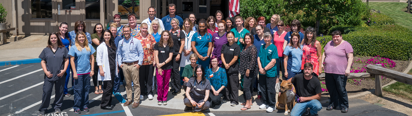 Team Picture of VCA Loomis Basin Animal Hospital