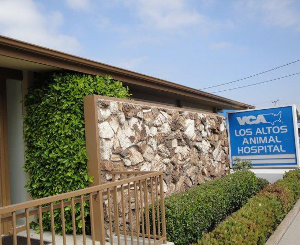 Hospital Picture of  VCA Los Altos Animal Hospital