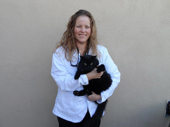 los altos animal hospital