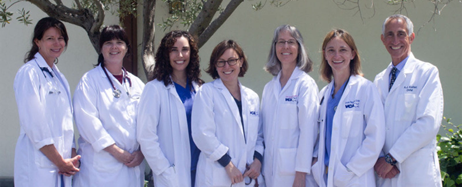 vca madera pet hospital