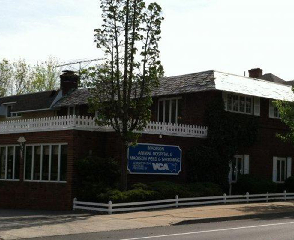 Hospital Picture of VCA Madison Animal Hospital