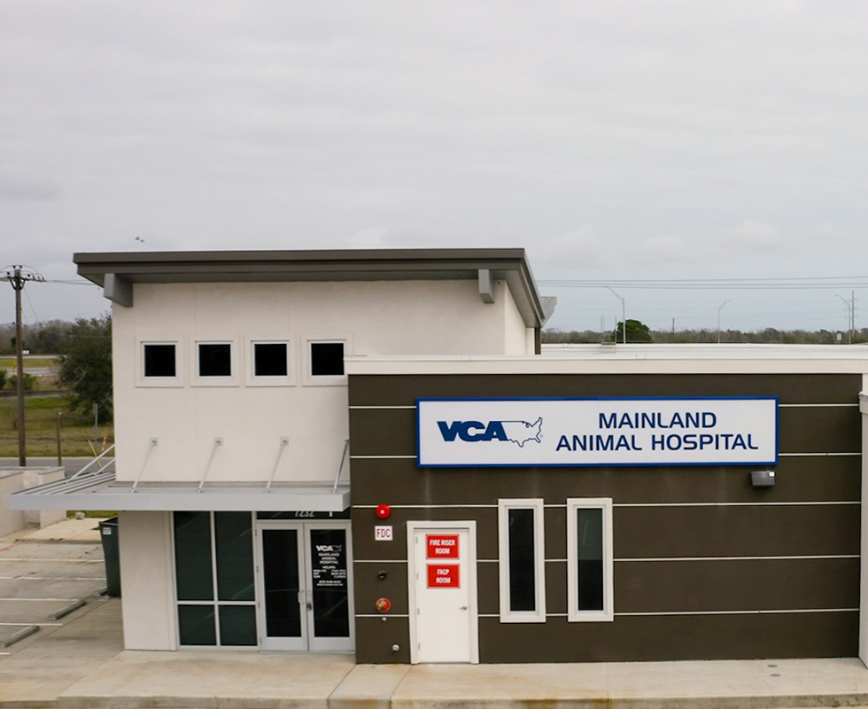 VCA Mainland Animal Hospital