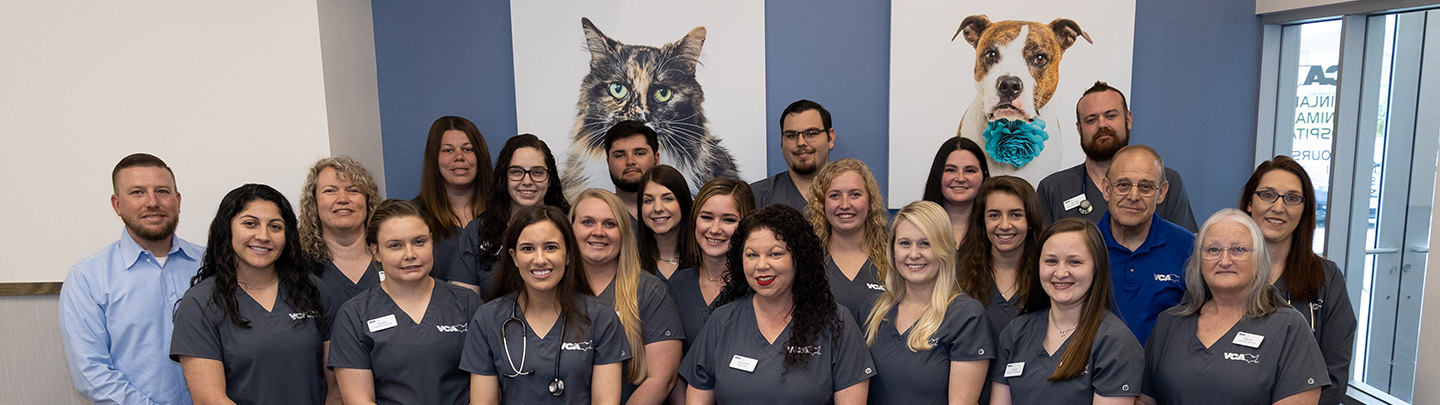 Team Picture of VCA Mainland Animal Hospital