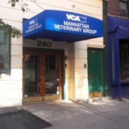 vca manhattan