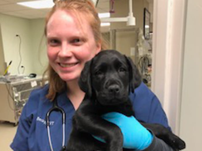 Becky | VCA Maple Ridge Animal Hospital