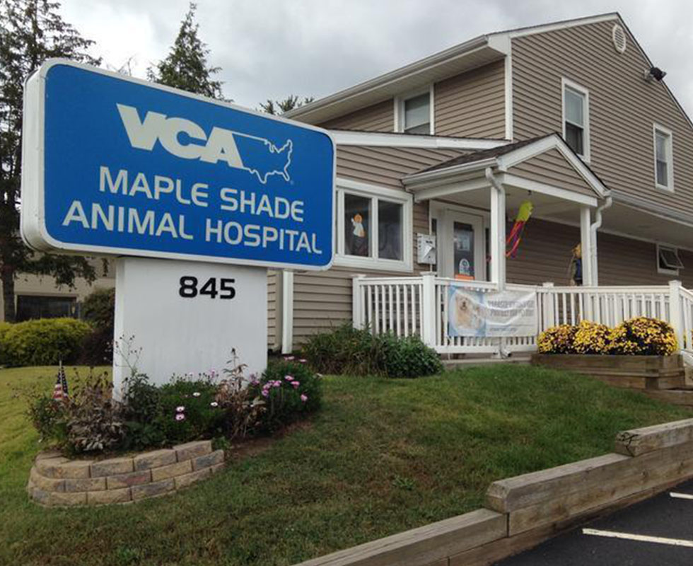 Our Hospital VCA Maple Shade Animal Hospital
