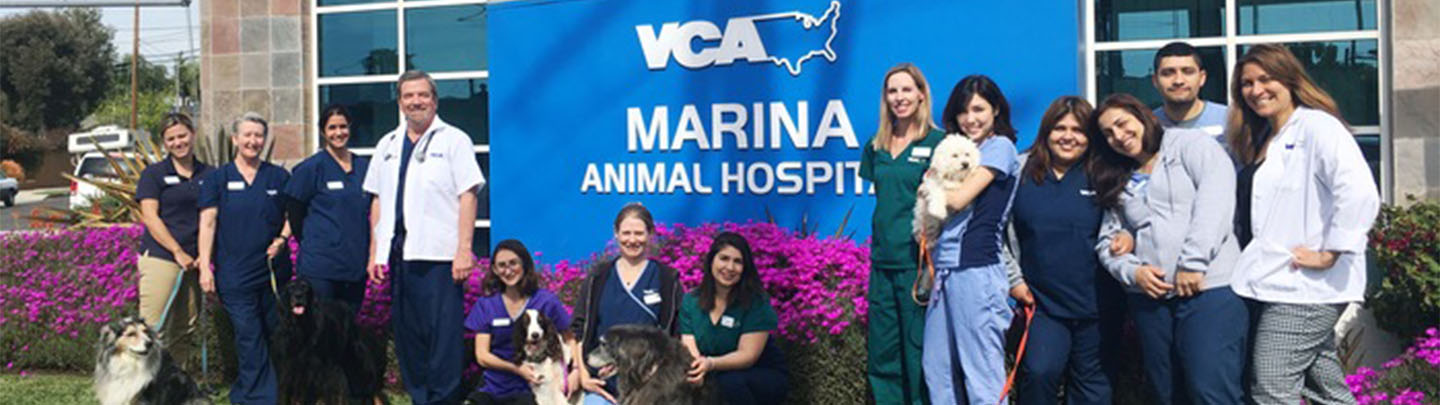 Team Picture of VCA Marina Animal Hospital