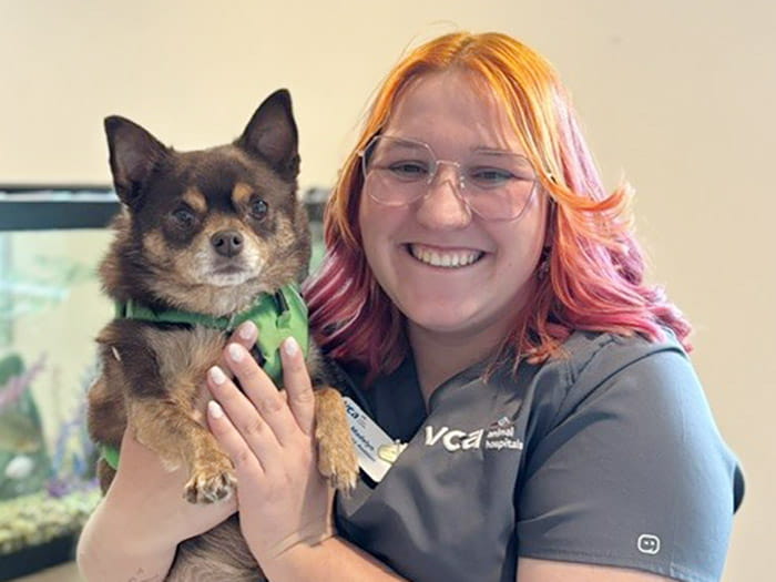 Staff Image
