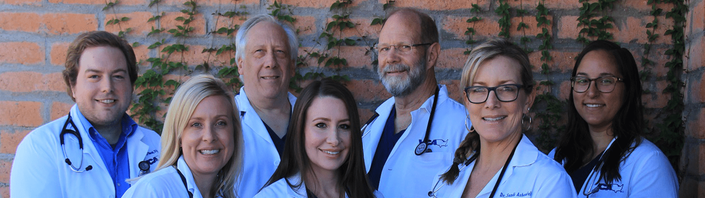 vca mccormick animal hospital