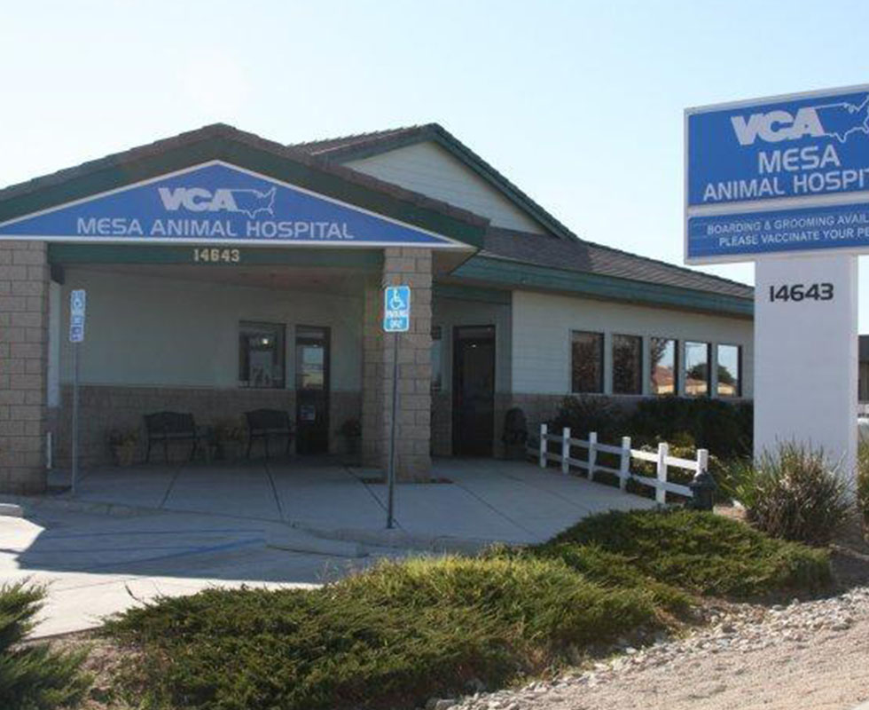 Hospital Picture of  VCA Mesa Animal Hospital