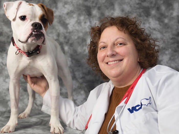 vca met vet west animal hospital