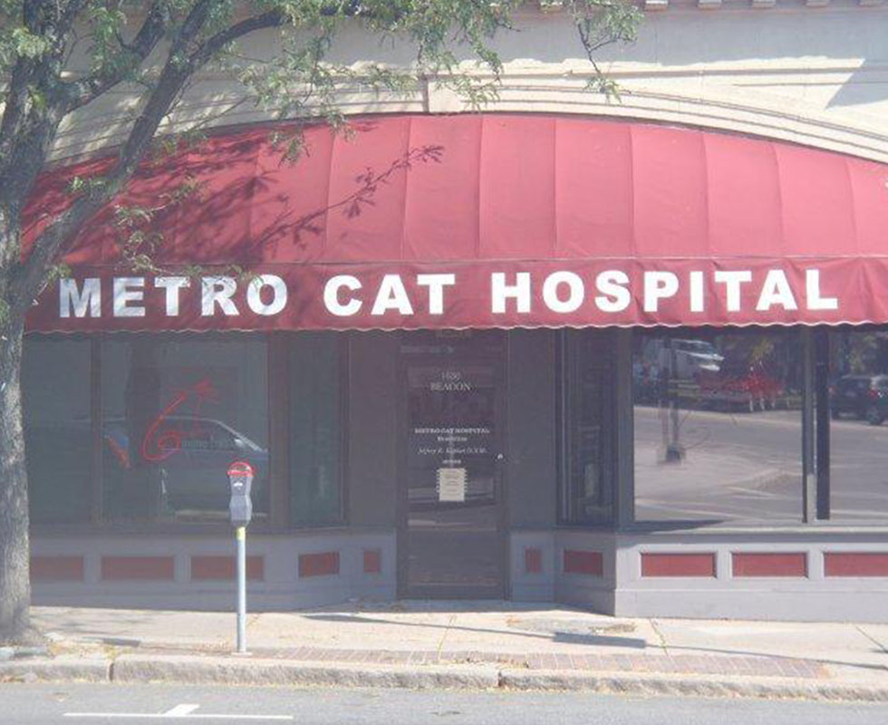 Hospital Picture of VCA Metro Cat Hospital
