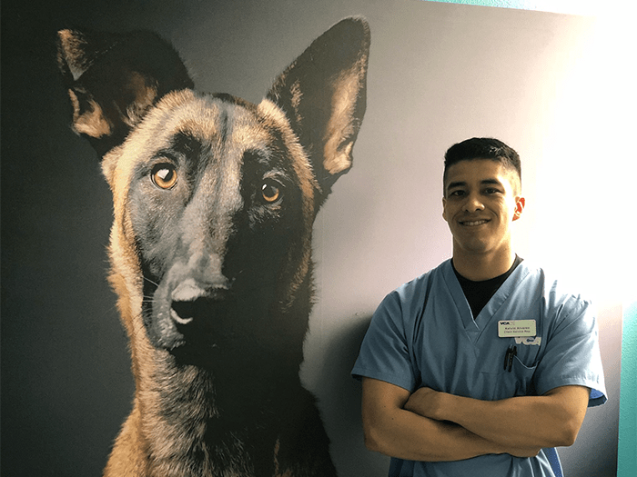 vca robertson animal hospital