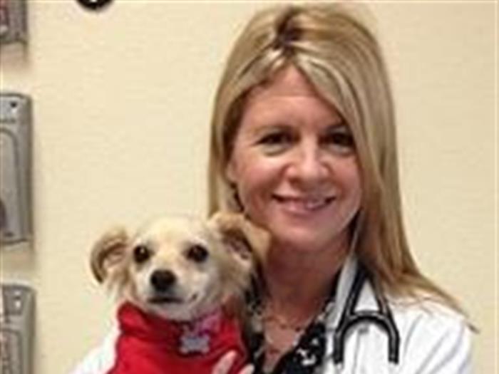 vca robertson animal hospital