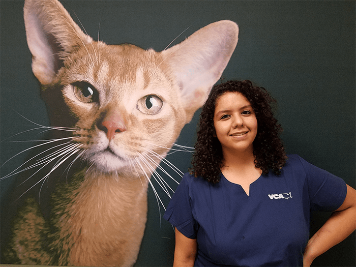 vca robertson animal hospital