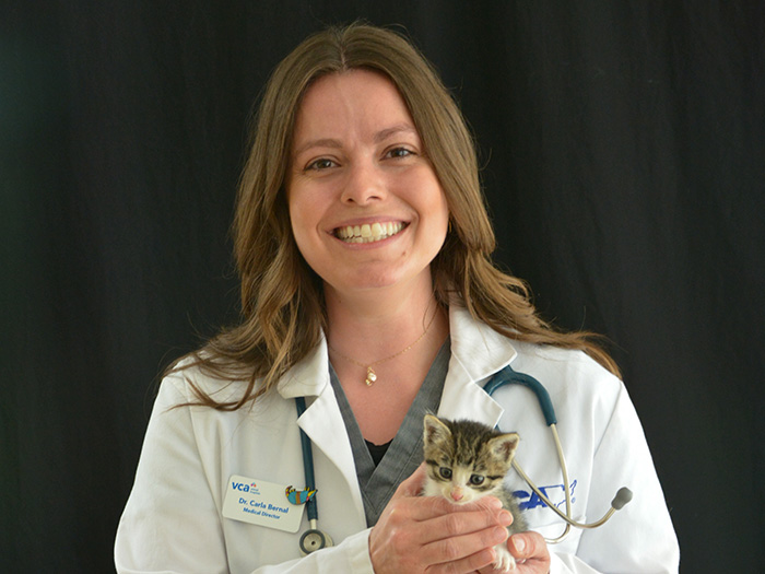 Carla Bernal | VCA Mission Animal and Bird Hospital