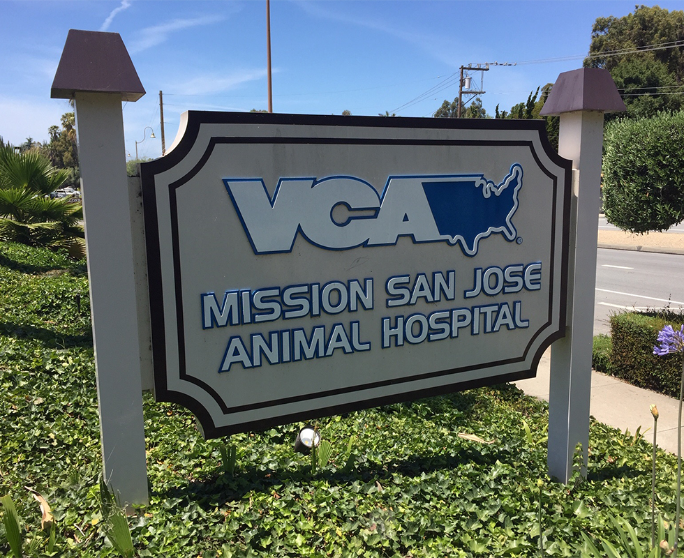 VCA Mission San Jose