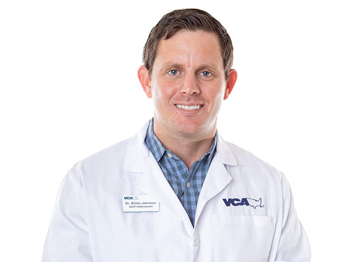 San Antonio Vets At Vca Mission Animal Hospital