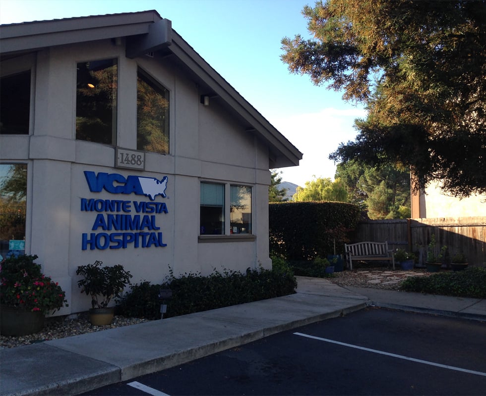 Our Hospital VCA Monte Vista Animal Hospital