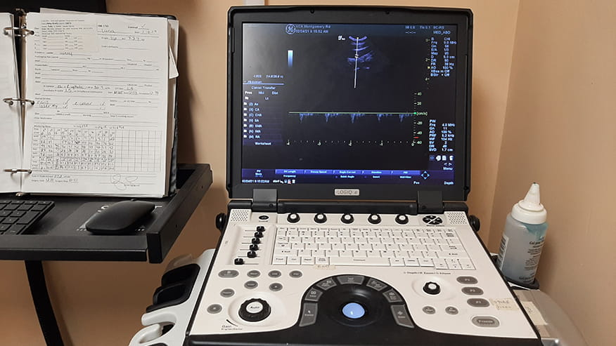 Montgomery Road Ultrasound Photo
