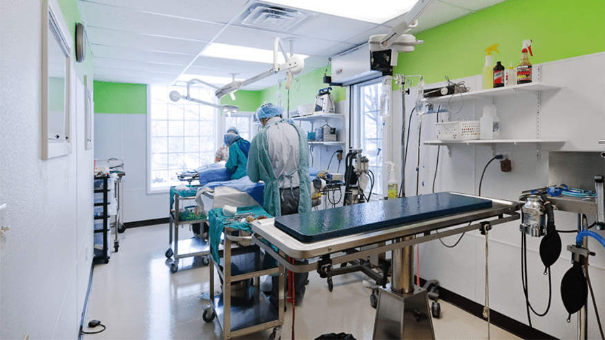 Surgical Suite