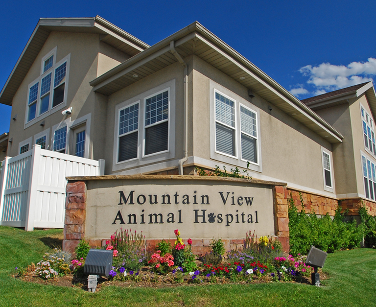 Our Hospital | VCA Mountain View Animal Hospital