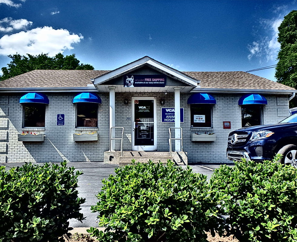 Our Hospital Vca Murphy Road Animal Hospital