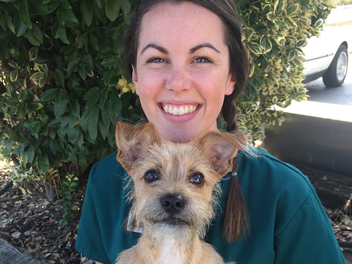 Taylor Nicolle Vca Murphy Road Animal Hospital