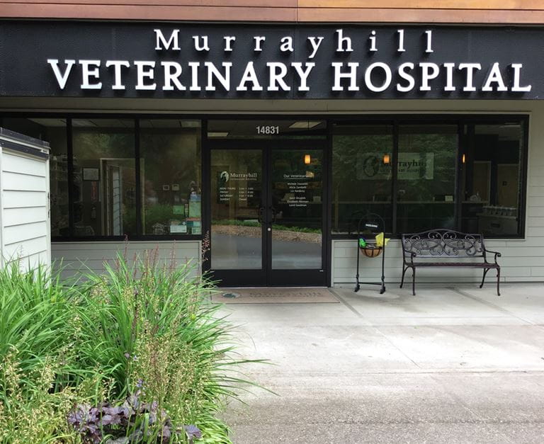 Our Hospital VCA Murrayhill Veterinary Hospital
