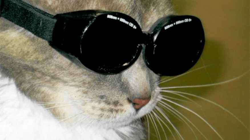 876x493 murrayhill ColdLaserTherapy