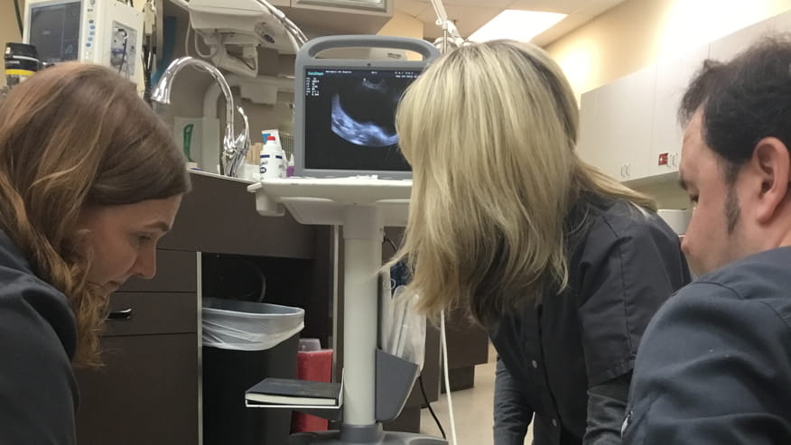 876x493 murrayhill ultrasound