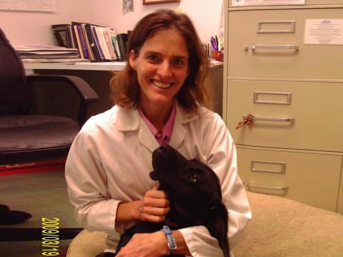 Ariana Grosse Vca Naper Ridge Animal Hospital