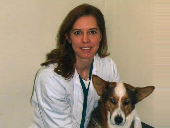 Naperville Vets At Vca Naper Ridge Animal Hospital