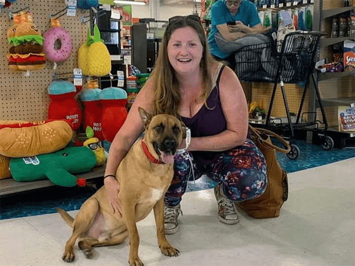 Farmingdale Vets At Nassau Suffolk Animal Hospital